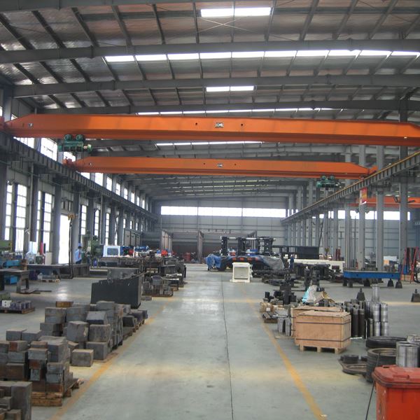 Light Duty Overhead Crane Lift